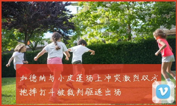 加德纳与小皮蓬场上冲突激烈双方抱摔打斗被裁判驱逐出场