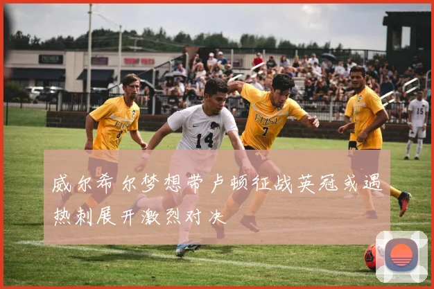 威尔希尔梦想带卢顿征战英冠或遇热刺展开激烈对决